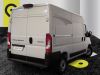 Peugeot BOXER FOURGON -  FGN 3.5 T L2H2 180 S&S BVA8 Neuve
