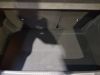 Peugeot 208 GT  PureTech 100 S&S BVM6 Neuve